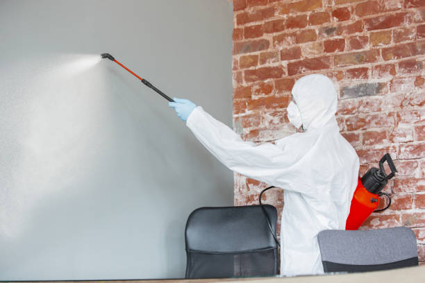 Best Forensic Mold Investigation  in Maggie Valley, NC