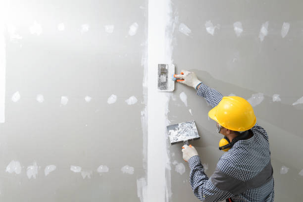 Reliable Maggie Valley, NC Mold Removal Solutions